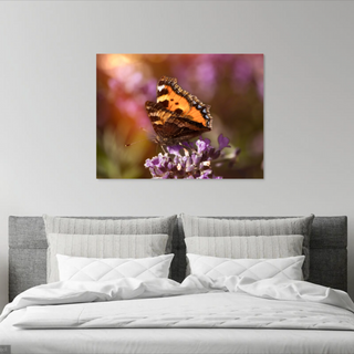 Painted lady at sunset.png