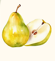 PAQUES (1).png