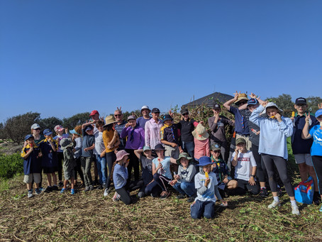 Bush care this Saturday 20th June 2020