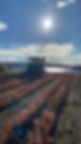 SDRM4533.JPG