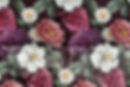 hand-drawn-flower-with-wrinkled-paper-texture-remixed-media.jpg