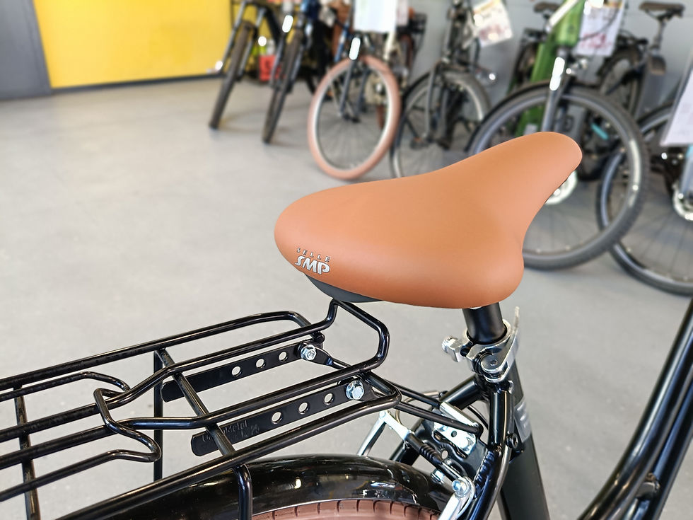 Miniatura: City Bike Alpina Viva Lady 28'' 7v