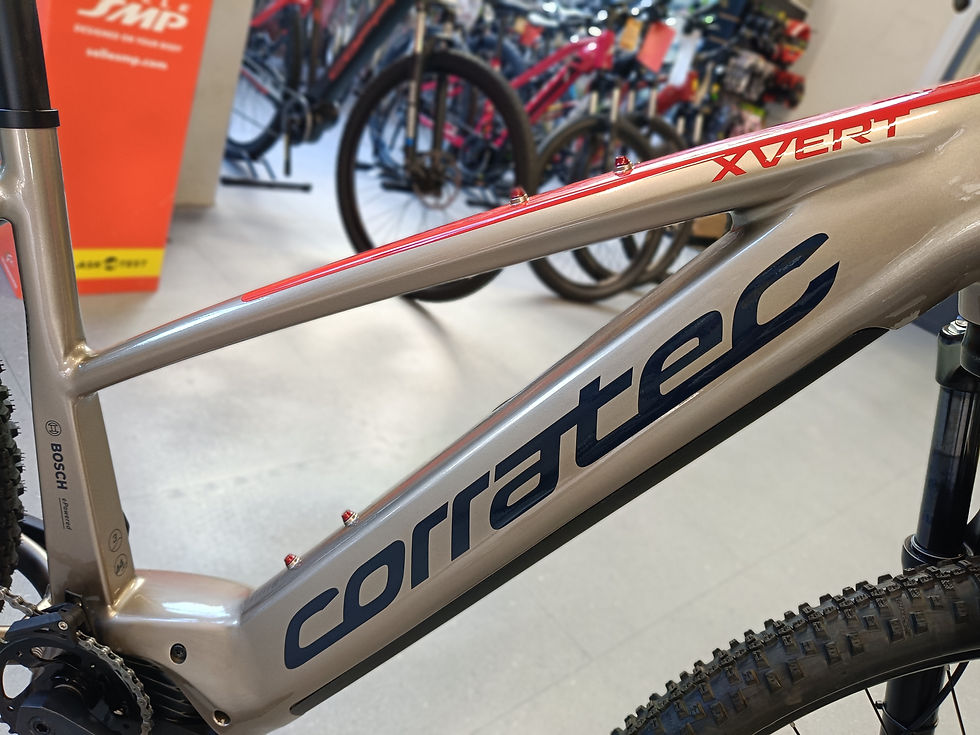 Miniatura: E-MTB Corratec E-Power X Vert Pro 750Wh
