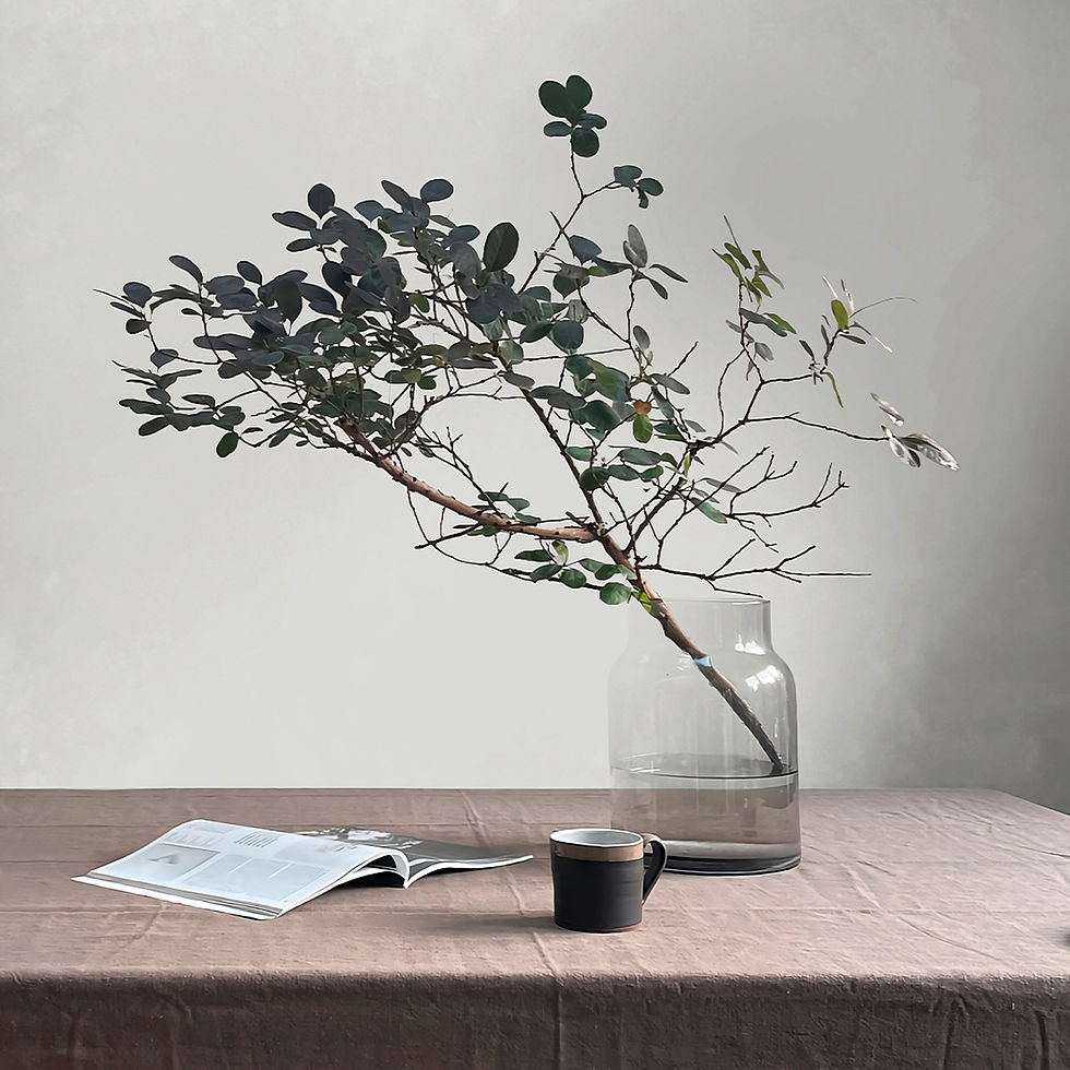 Wall paint, room wall colours, wall paint colours, painting ideas for walls, wall colour combination, wall colour ideas, living room colour combination, home painting ideas