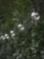 outdoor home accessories, outdoor home decor, outdoor patio decor, outdoor inspirations, modern patio decor, patio styling, back patio decor, indoor outdoor living