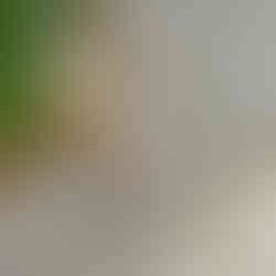 Nutmeg Taupe Tile, What is the best wood tile flooring, what is wood tile flooring, what is wood plank tile, what to clean wood tiles with, what is wood tile, type of wood tiles, is wood look tile a good idea, is there tile that looks like wood, is wood tile in style, tiles which look like wood, does wood tile scratch, does wood tile increase home value, how to install wood tile floor, is there tile that looks like wood, wood tile near me, wood tile in bathroom, wood tile with dark grout, wood effect ceramic flooring, wood tile effect, wood tile vs hardwood, wood tile vs wood floor, is wood look tile a good idea, wood like tile planks, wood like tile bathroom, wood tile flooring, wood ceramic tile, porcelain wood tile, porcelain wood tile pros and cons, wood look tile, wood look porcelain tile floors, tile that looks like hardwood, wood look tile floor living room, kitchen tile floor nest to hardwood, wood tile shower ideas