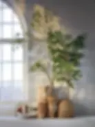 home interior trends, 2025 home decor trends, 2026 home decor trends, living room trends, 2026 home trends, latest interior design trends, different interior styles, furniture trends 2026, latest decorating trends