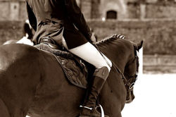 11653378_10207046545826196_1278846861_n (FILEminimizer)