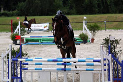 11700519_10207226027993138_5375136550481432322_o (FILEminimizer)