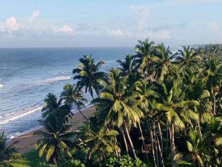 A Teardrop in the Indian Ocean - Sri Lanka in 7 Days