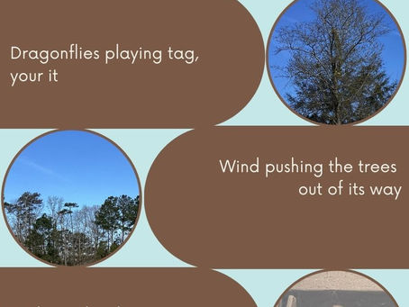 Sensory Scavenger Hunt