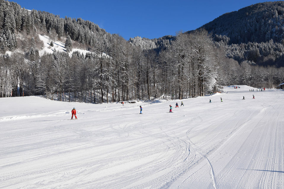 image - 2022-03-25T095939.156.jpg