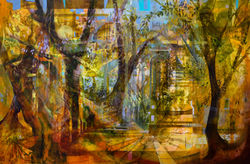 ‘City Haven (Botanic Gardens)’