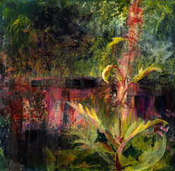 ‘Rheum Palmatum by the Chinese Bridge-Edinburgh Botanical Gardens’