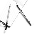 Two%20Pens%20on%20Notebook_edited.jpg