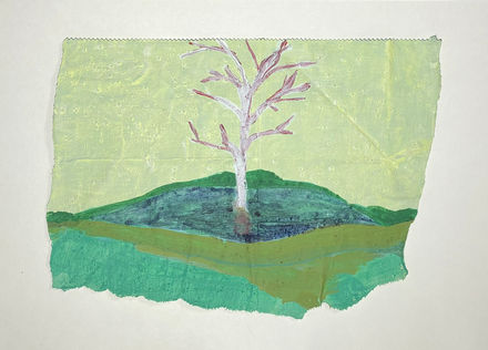 Spring Wind #1