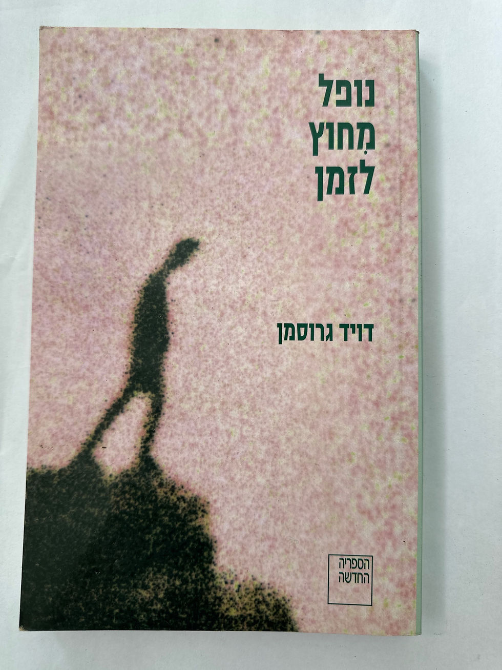 תמונה ממוזערת: נופל מחוץ לזמן מאת דויד גרוסמן