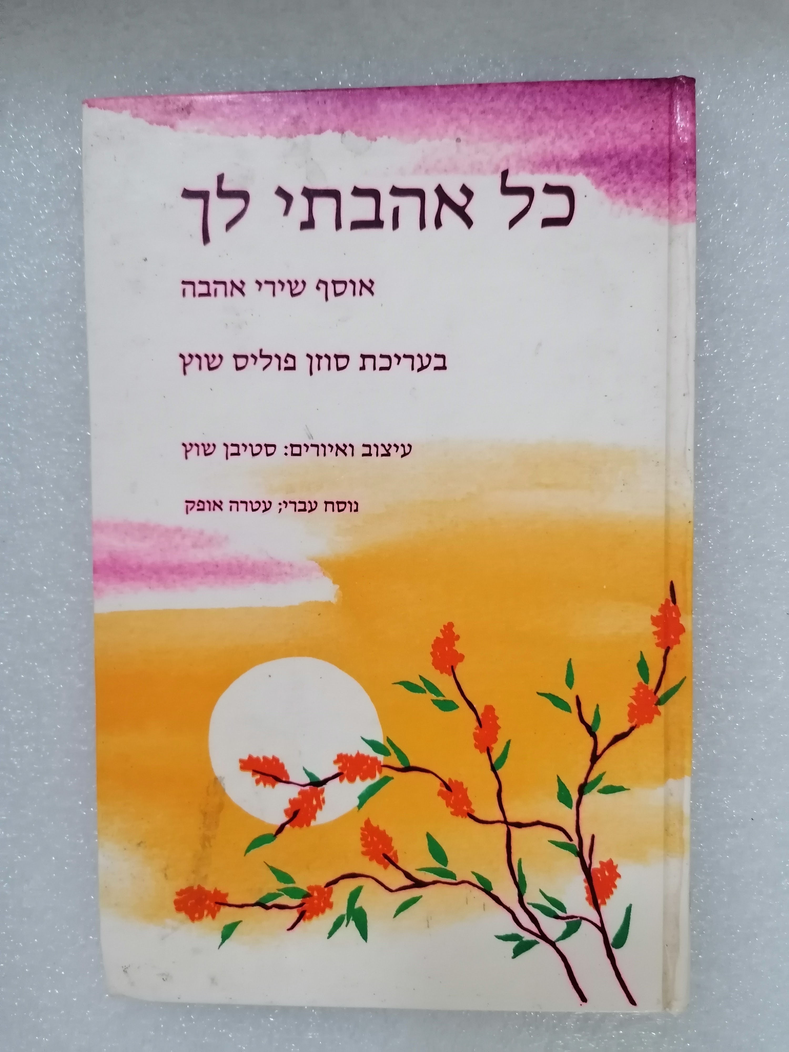 כל אהבתי לך מאת סוזן פוליס-שוץ