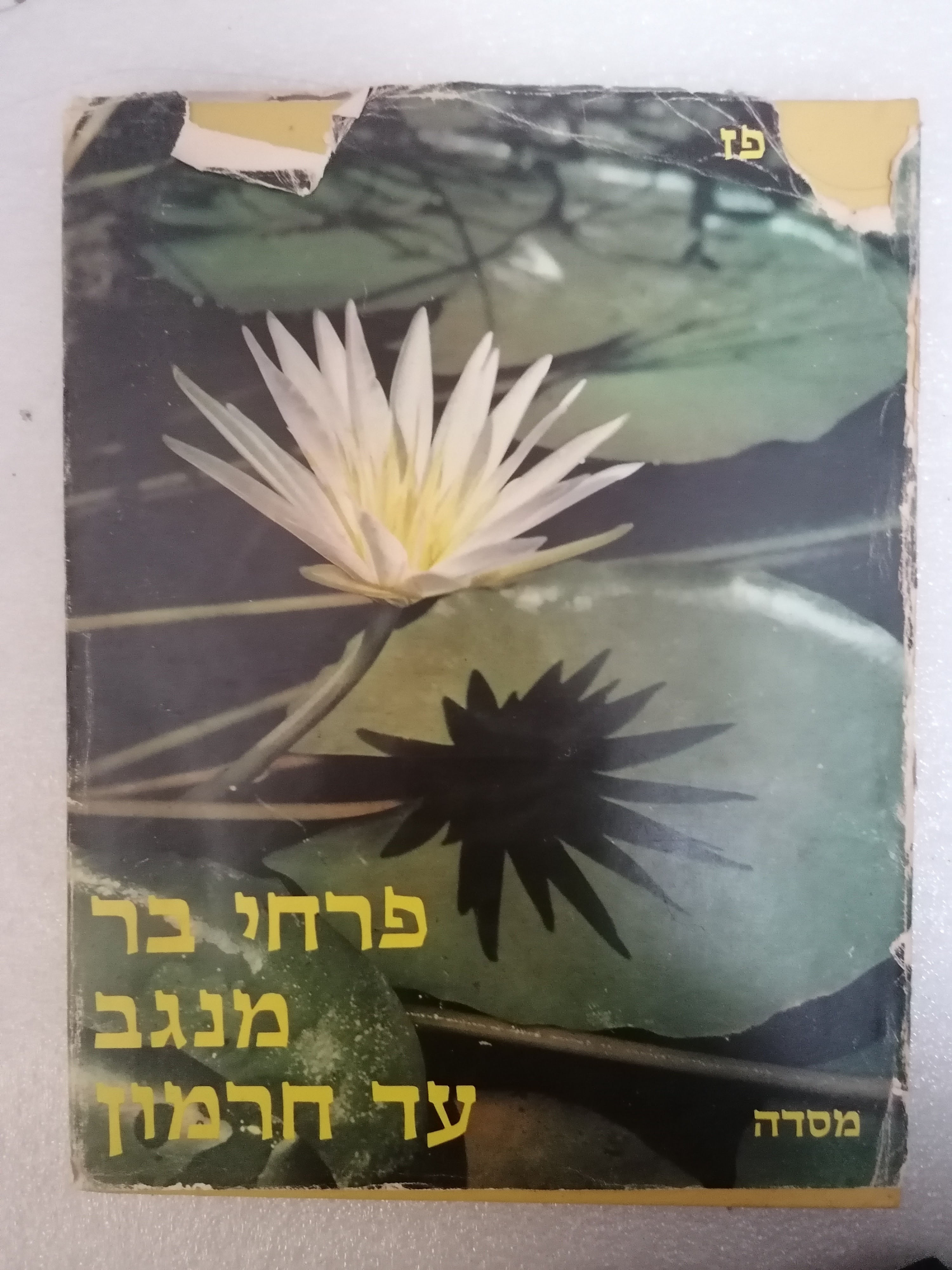 פרחי בר מנגב עד חרמון מאת עזי פז