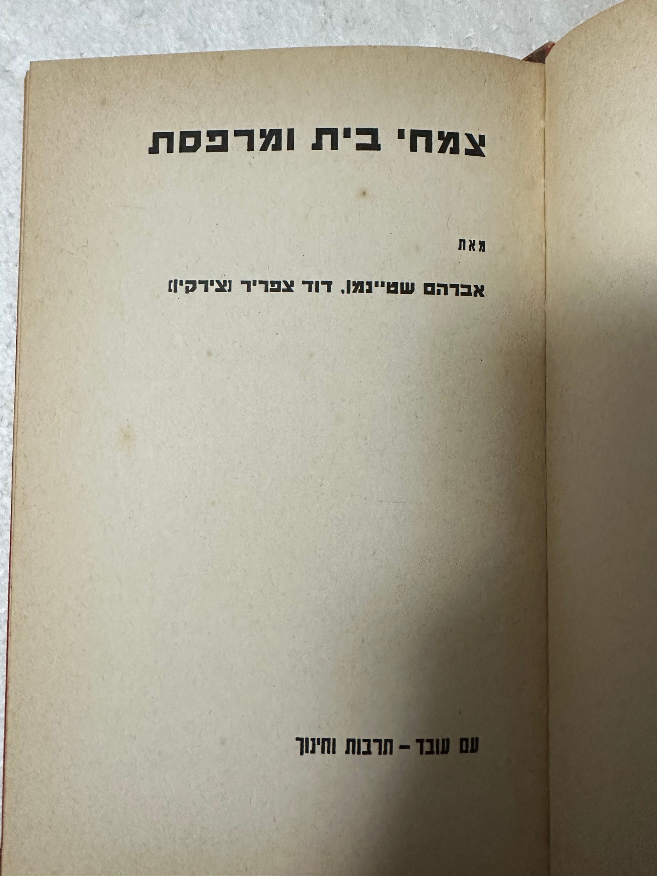 צמחי בית ומרפסת מאת אברהם שטיינמן דוד צפריר