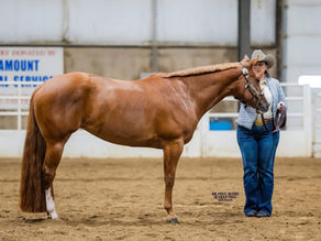 July All Breed Open Horse Show - Stall Reservations Now Open!
