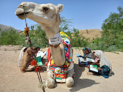 Umeed the Camel Library