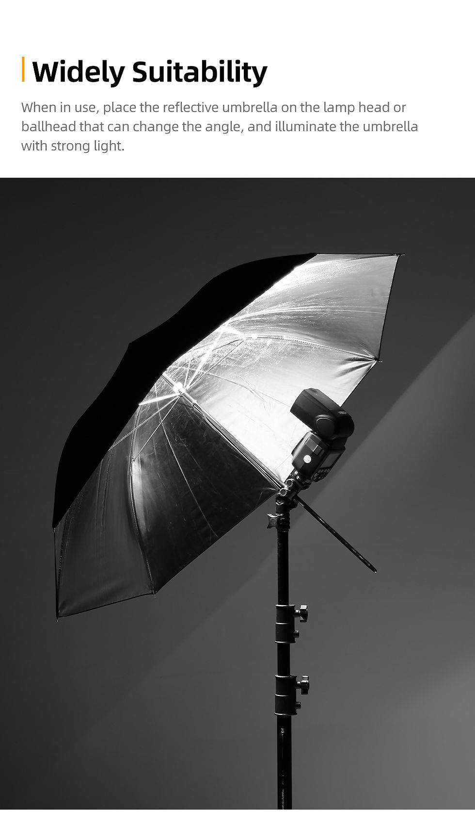 Thumbnail: Black Silver Umbrella