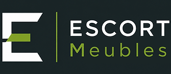 Logo sans texte.png