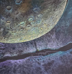 Cosmic Destination