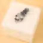 Skeleton Hand Brooch on box