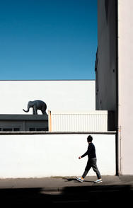 The Elephant, 2020