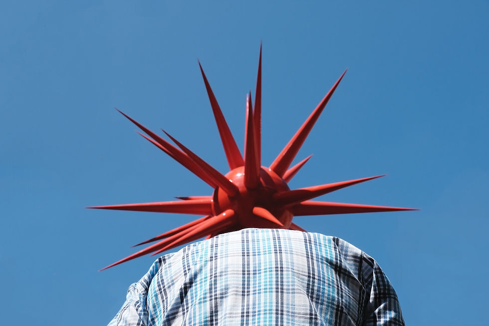 "Hedge hog man"
