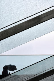 Umbrella day.jpg.jpeg