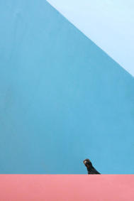 Minimalistische urbane Fotografie von Guido Klumpe in blau rot weiß gelb schwarz grün türkis