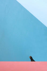 Curious.jpegMinimalistische urbane Fotografie vom Fotokünstler Guido Klumpe