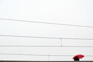 Little red, 2019