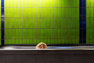 Street Fotografie von Guido Klumpe. Junge in Badewanne oder rolltreppe