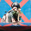 Miniaturbild: „The gaul"
