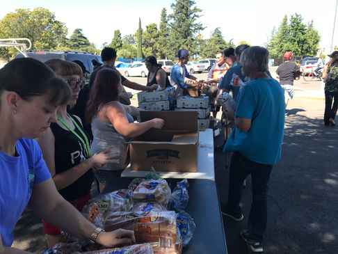 350+ Bags of Food Given out at Repplier Park, Next Outreach September 23rd!!