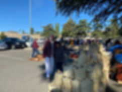 IMG_0788.jpeg