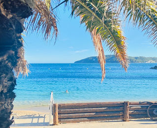 Banc et palmier sur une plage du Mourillon avec vue sur la mer, Toulon