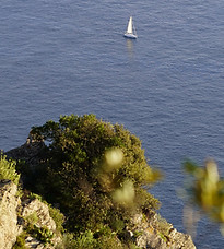 bateau-sur-eau-large-cap-sicié.jpg.jpg