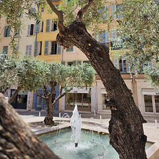 Fontaine de la place des Halles de Toulon entourée d’oliviers
