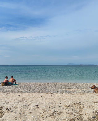 Plage de sable à l'Almanarre,  Hyères