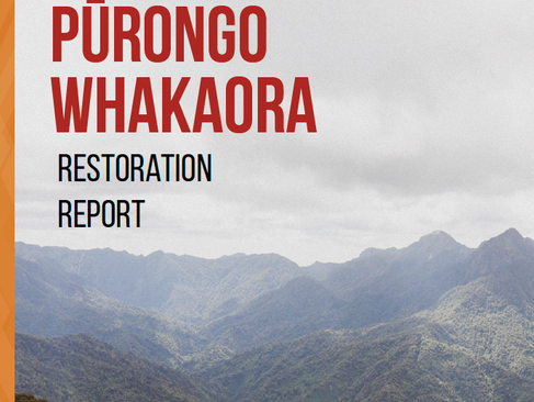 Report shows outsized impact as Iwi-led conservation project turns charitable trust