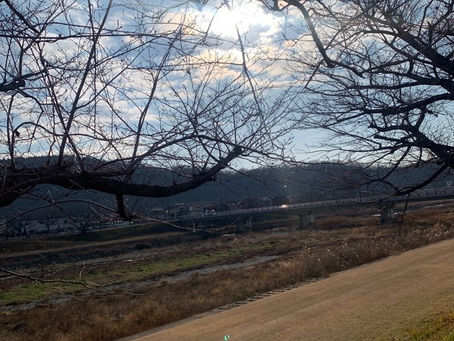 今年は暖かい！