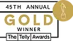 Telly_45th_Winners_Badges_gold_winner.webp