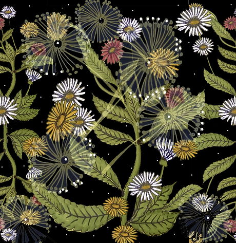 11280540_rrbalck-daisy-color (1).png