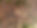 DJI_0993.jpg