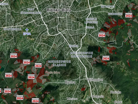 Zanim wytną Twój las - mapa planowanych wycinek